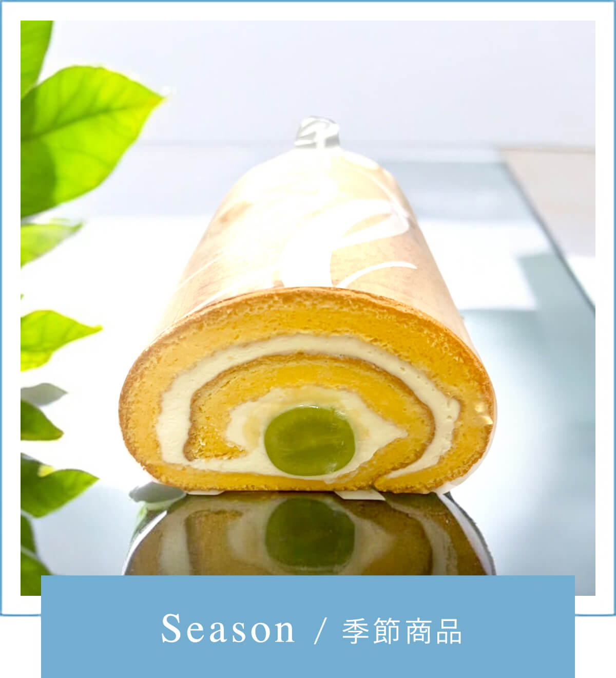 Season/季節商品