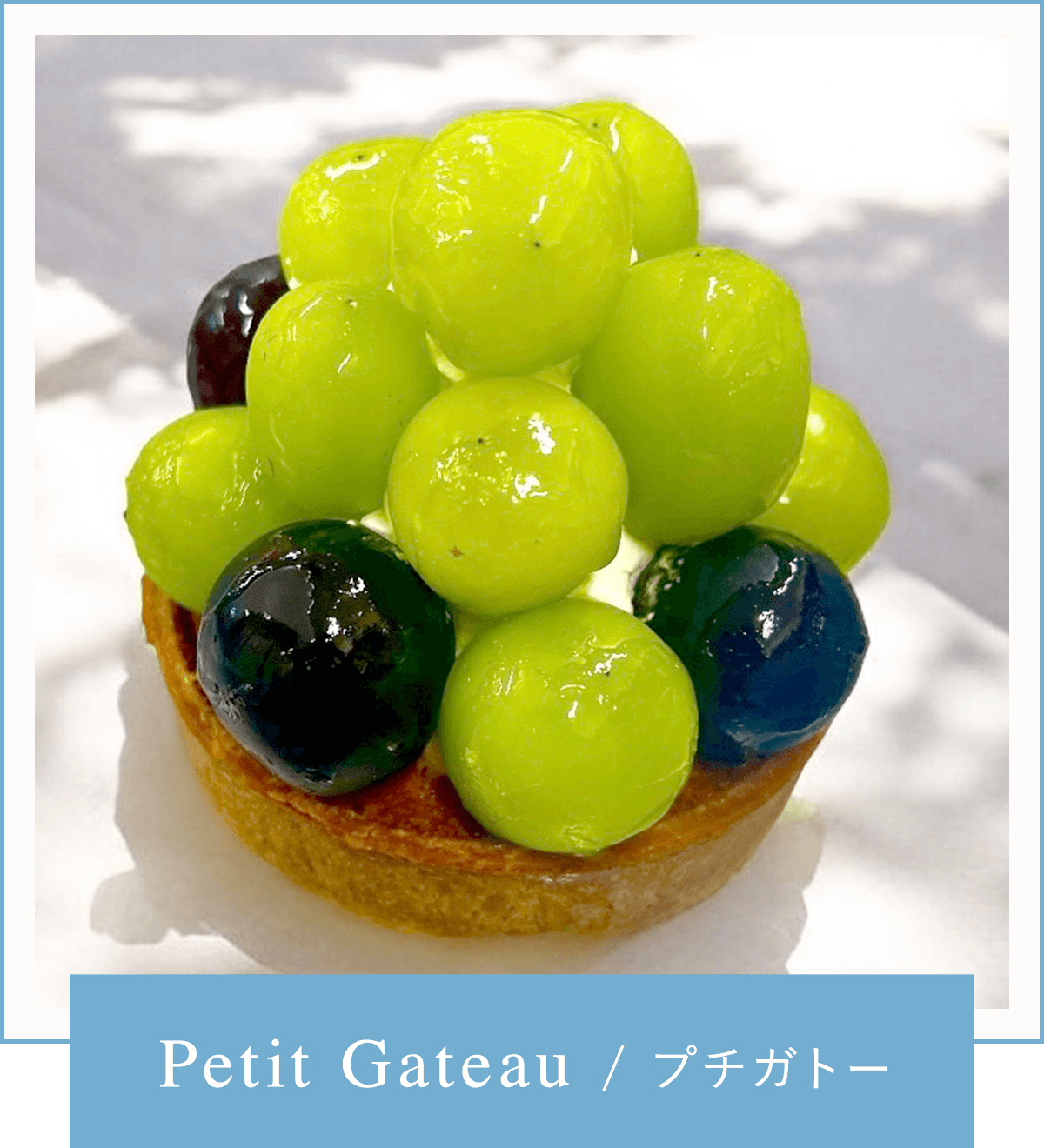 Petit Gateau/プチガトー
