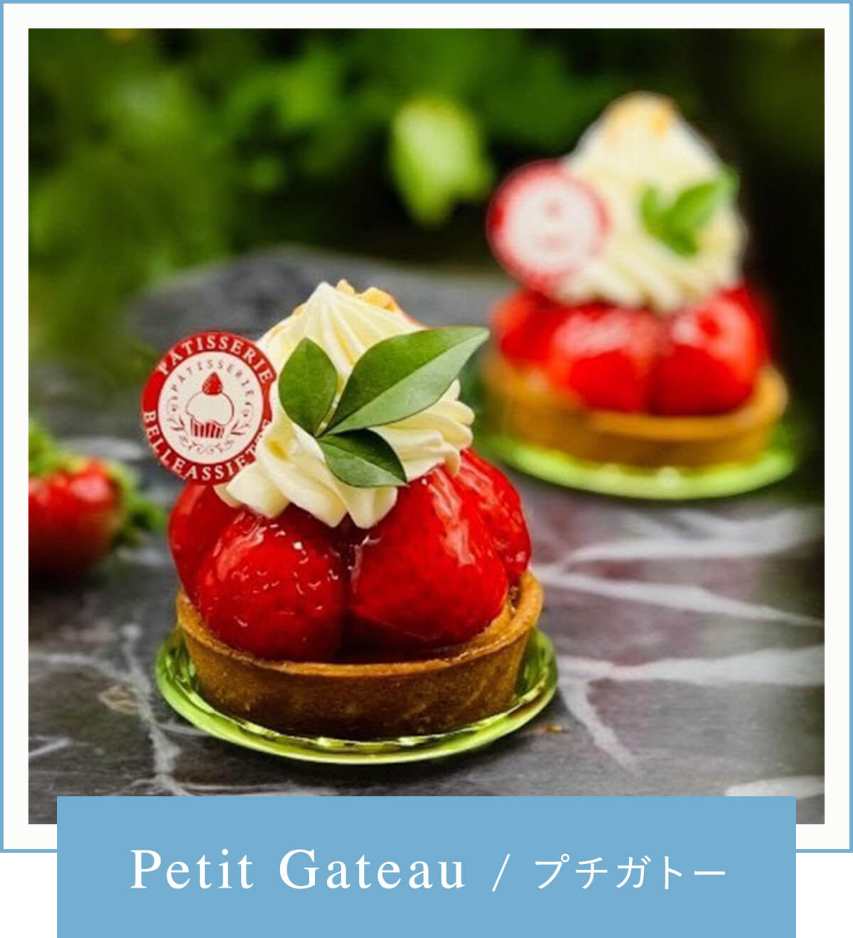 Petit Gateau/プチガトー